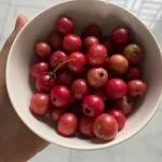 Regression external club 