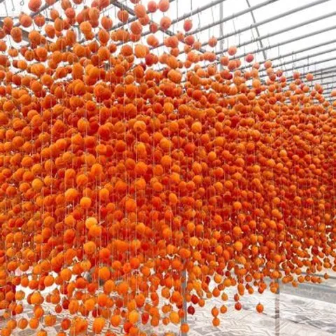 Tan Phu American Football