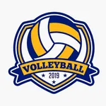 Volleyball superstars