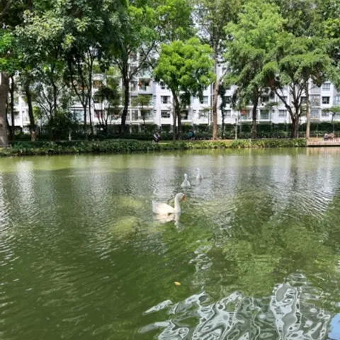 1059 pickleball club by ngan7